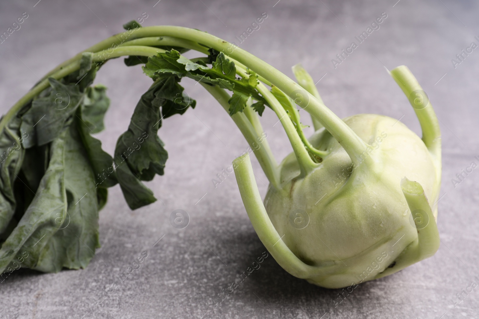 Photo of Whole ripe kohlrabi plant on grey table, closeup