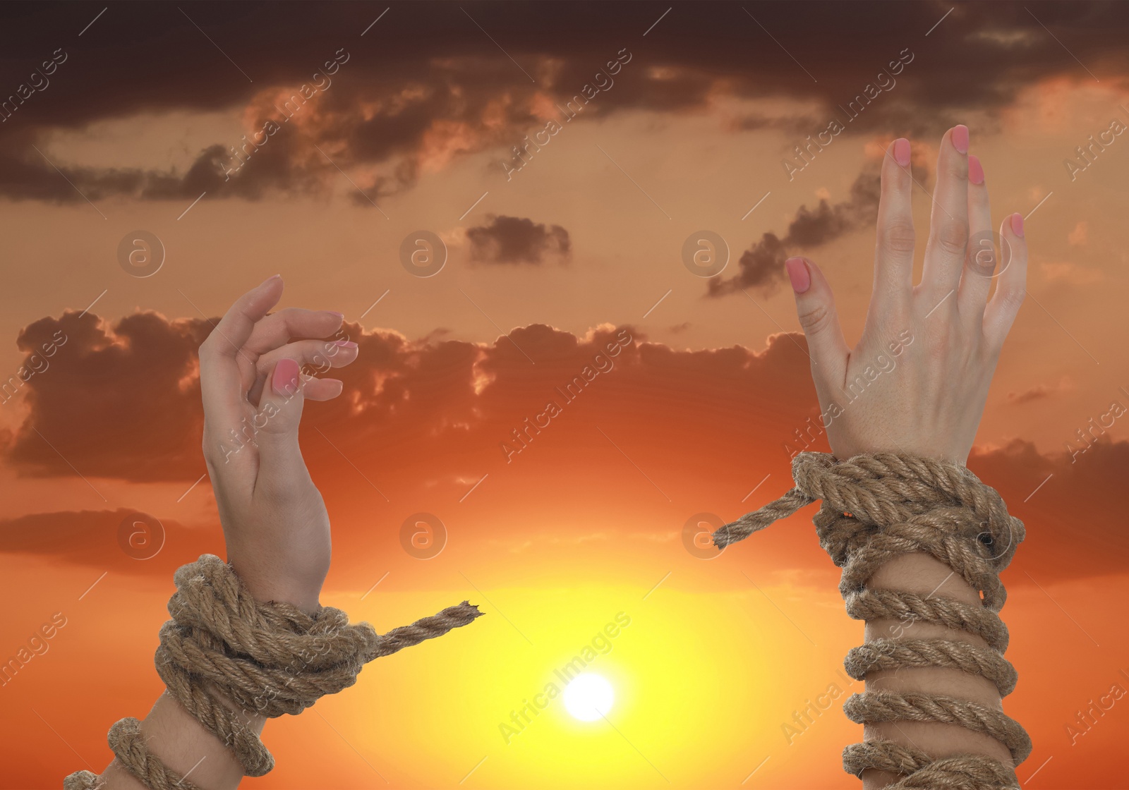 Image of Freedom. Woman with ripped ropes against sky at sunset, closeup