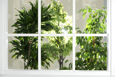 Photo of Beautiful view through window on garden in morning