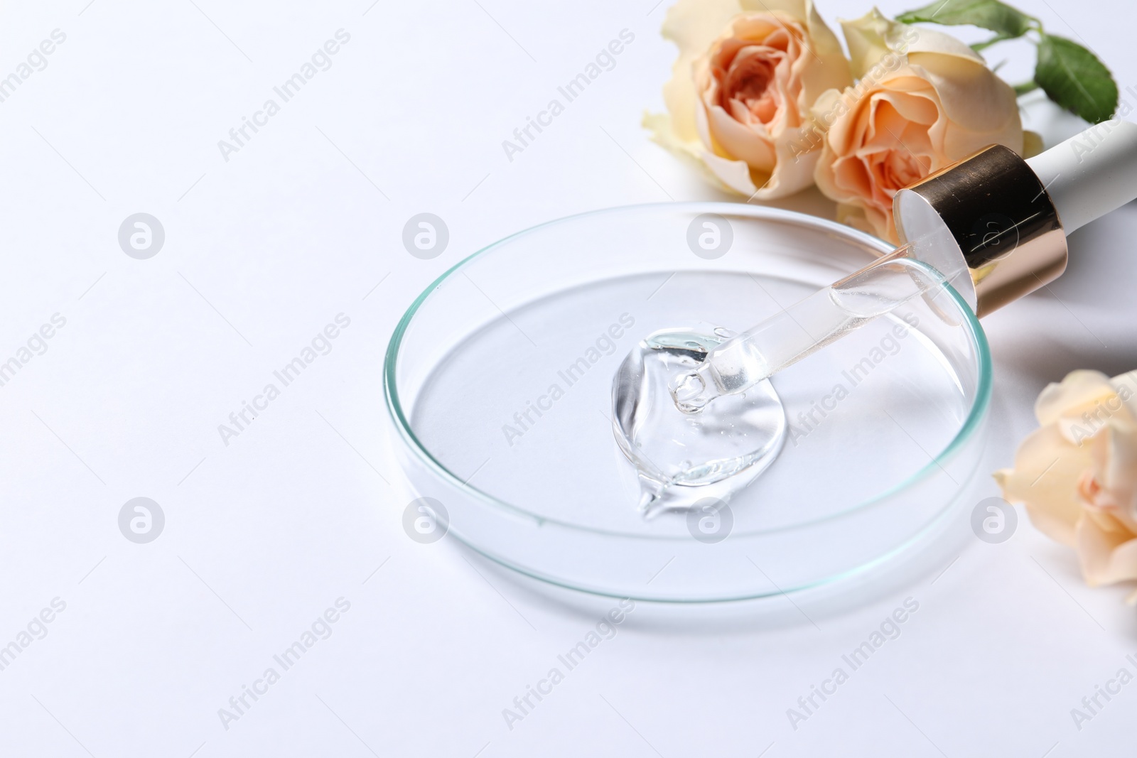 Photo of Petri dish with sample of cosmetic serum, pipette and rose flowers on white background, space for text