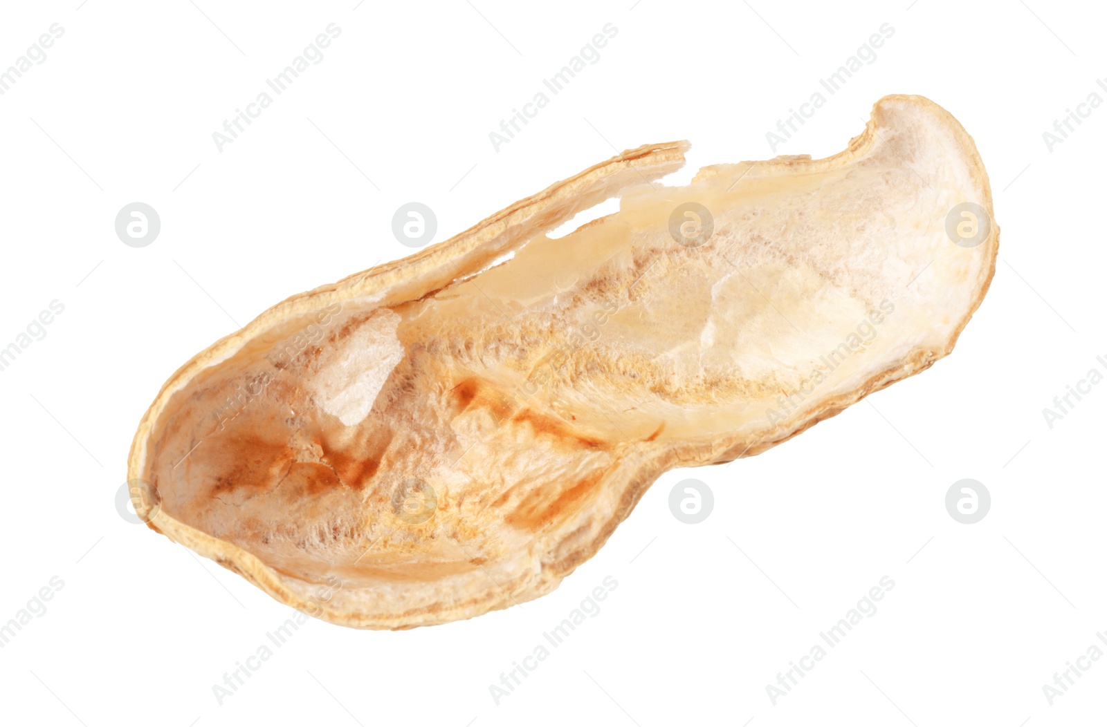 Photo of Piece of peanut pod isolated on white