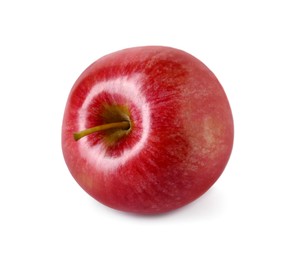 Photo of One ripe red apple isolated on white