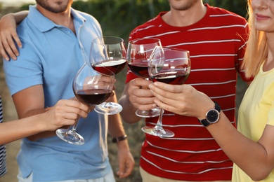 Photo of Friends tasting wine and having fun on vineyard picnic