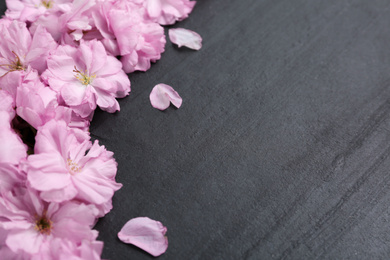 Photo of Beautiful sakura blossom on slate background, space for text. Japanese cherry