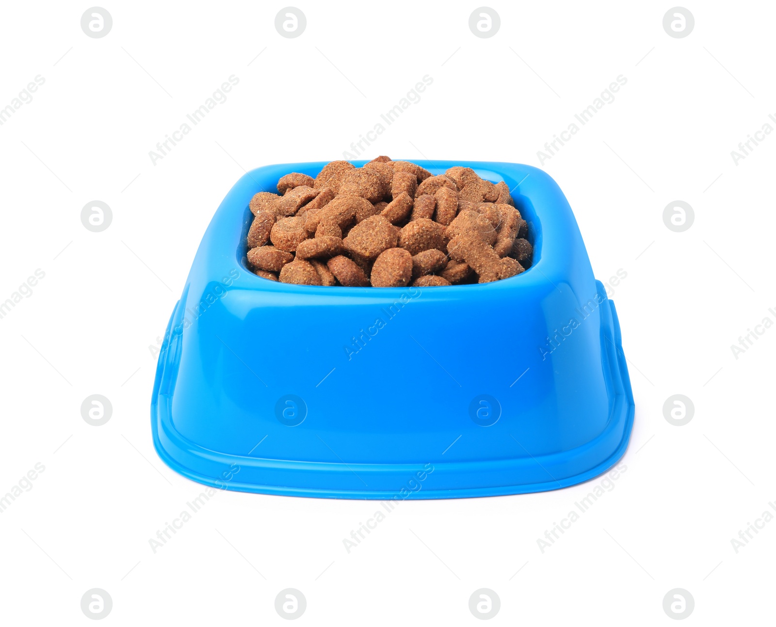 Photo of Wet pet food in feeding bowl isolated on white