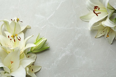 Photo of Flat lay composition with lily flowers on light background