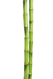 Photo of Beautiful green bamboo stems on white background