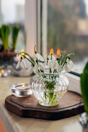 Spring is coming. Beautiful snowdrops and candle on windowsill indoors