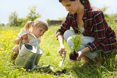 Photo of Mother and her daughter planting tree together outdoors