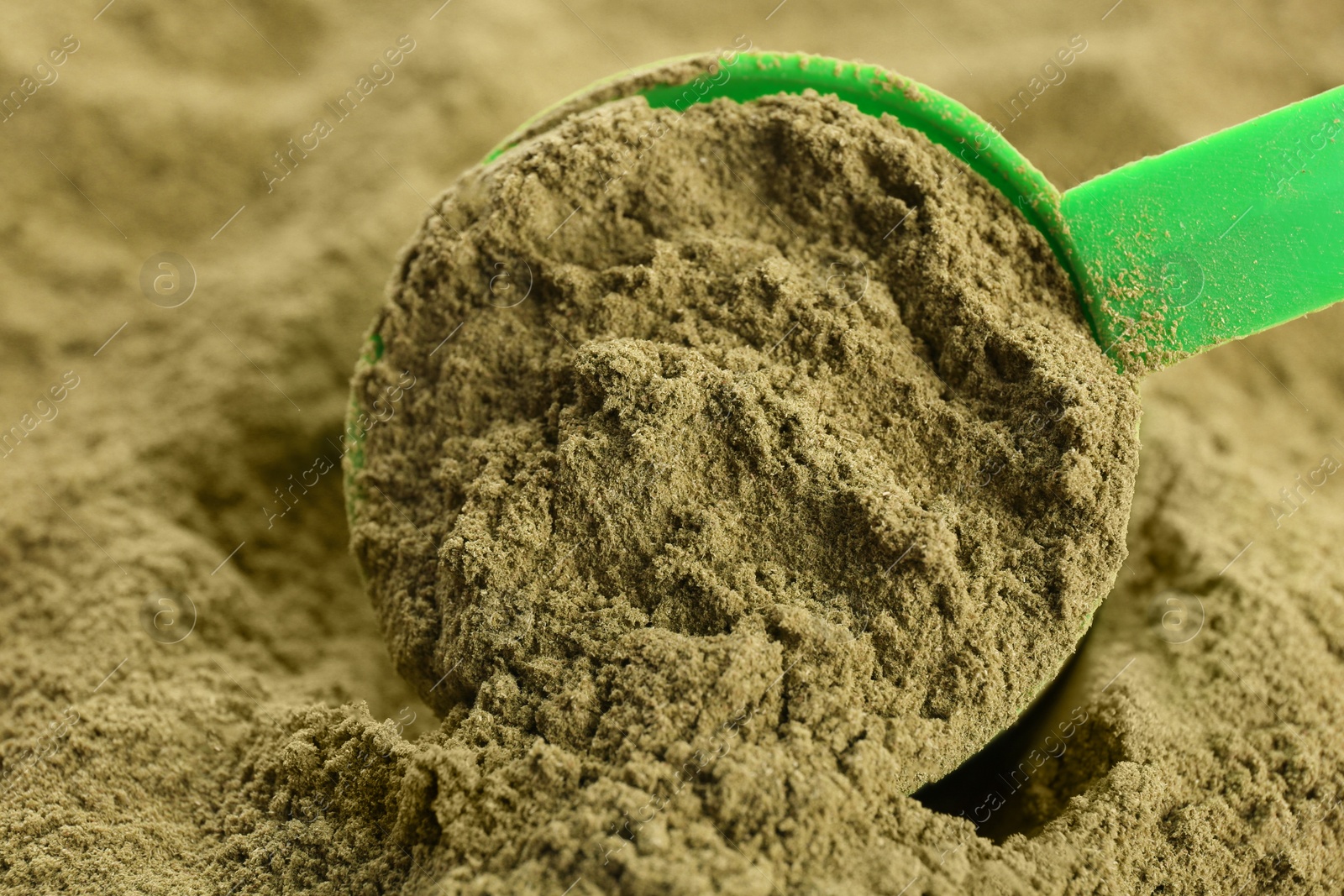 Photo of Hemp protein powder and measuring scoop, closeup