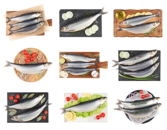 Image of Set with tasty salted herrings on white background, top view