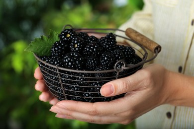 Woman holding bowl of fresh ripe blackberries on blurred natural background, closeup