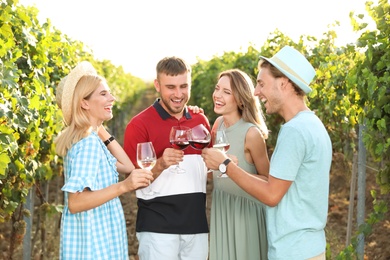 Photo of Friends drinking wine and having fun at vineyard