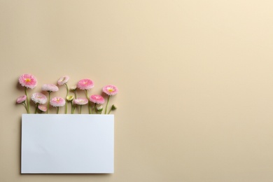 Photo of Flat lay composition with spring daisy flowers and card on color background. Space for text