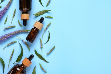 Photo of Bottles of essential oil, flowers and leaves on light blue background, flat lay. Space for text