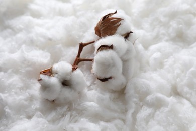 Closeup view of soft flowers on clean cotton