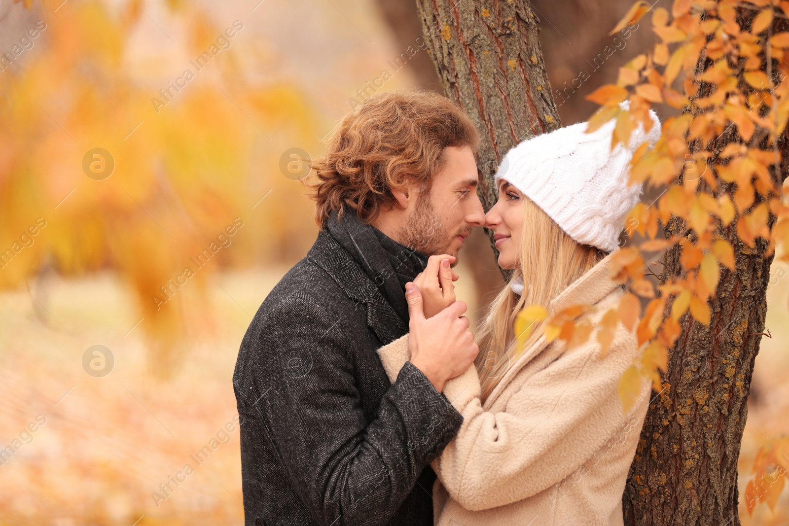 Photo of Young romantic couple in park on autumn day