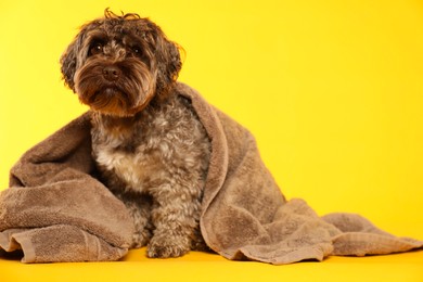 Photo of Cute dog with towel on yellow background