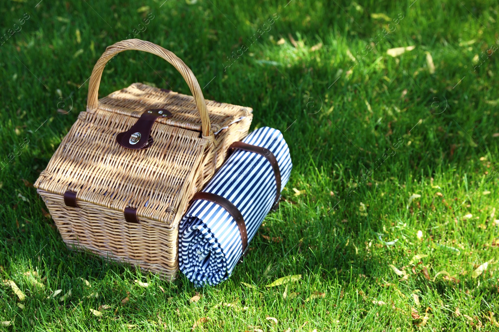 Photo of Picnic basket with blanket on green lawn in garden. Space for text