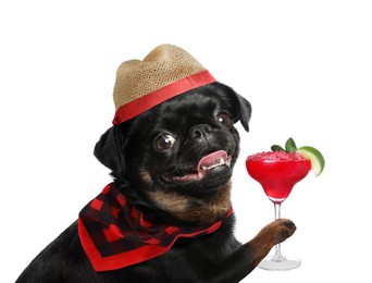 Cute dog in hat with cocktail on white background. Summer party
