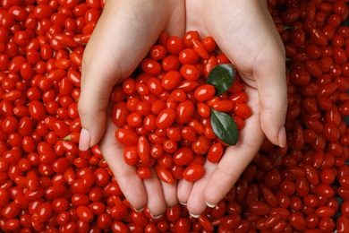 Photo of Woman holding pile of fresh ripe goji berries, top view