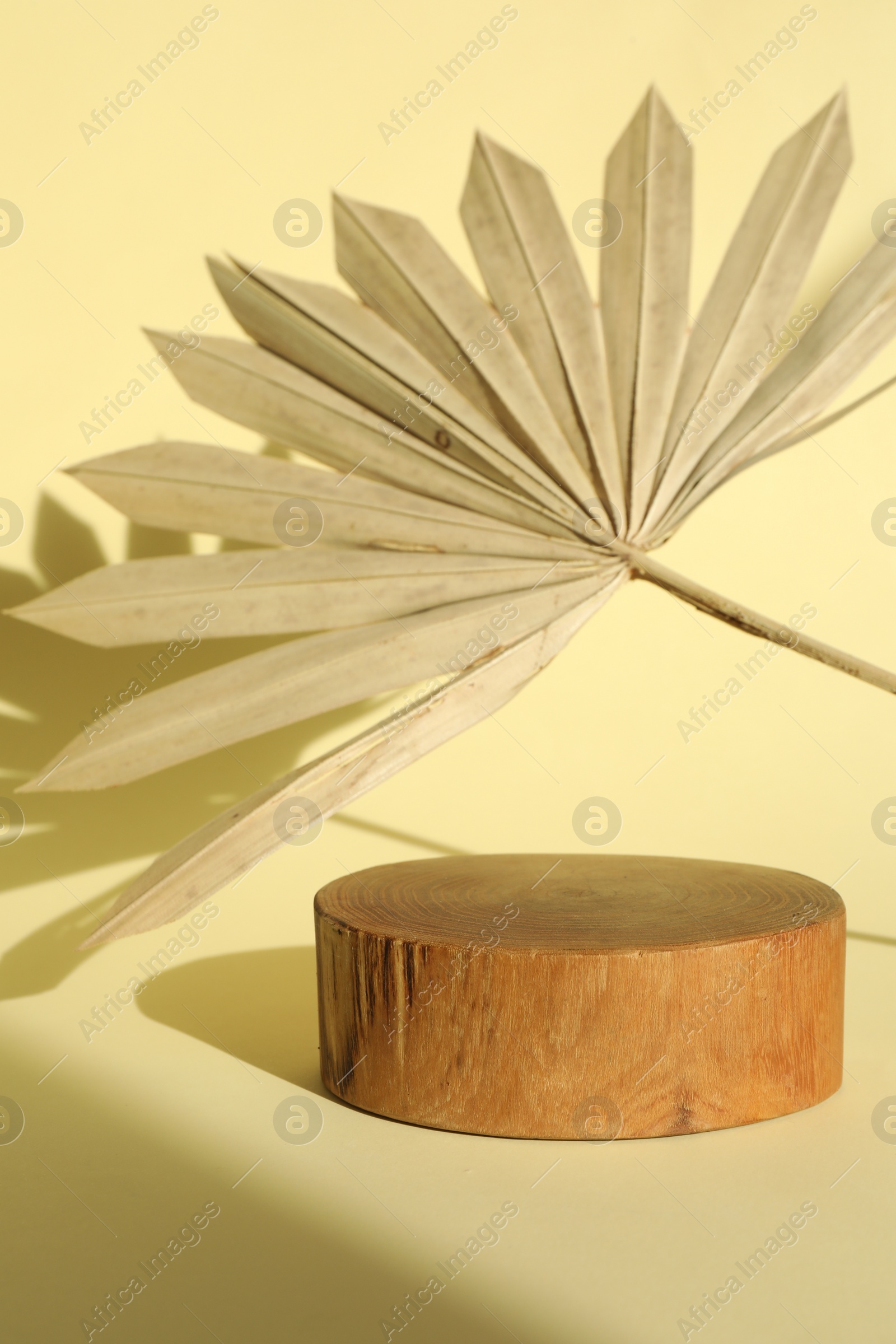 Photo of Presentation of product. Wooden podium and palm leaf on yellow background