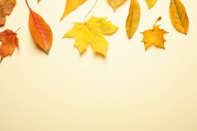 Flat lay composition with autumn leaves on beige background. Space for text