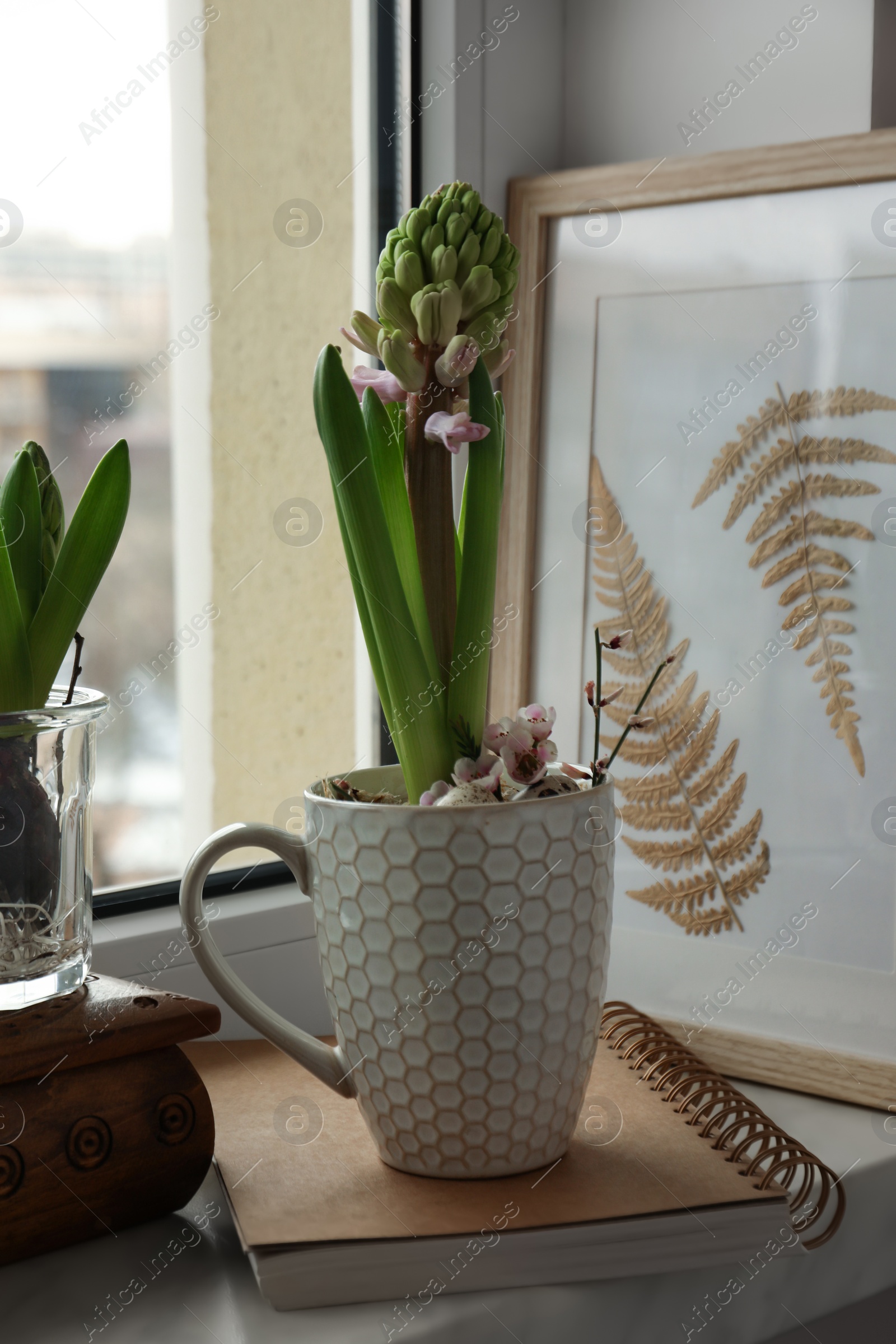 Photo of Beautiful bulbous plants on windowsill indoors. Spring time