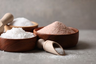 Photo of Different natural salt on grey table, closeup