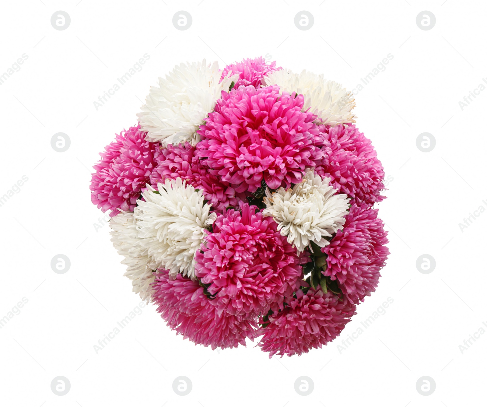Photo of Bouquet of beautiful asters isolated on white, top view. Autumn flowers