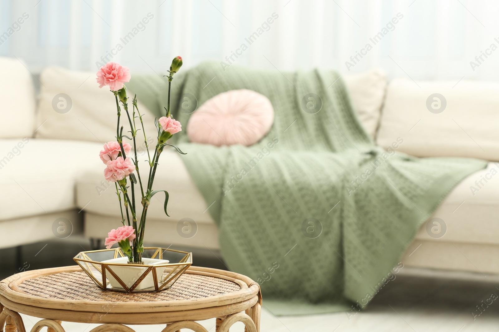 Photo of Ikebana art. Beautiful pink carnation flowers carrying cozy atmosphere at home, space for text