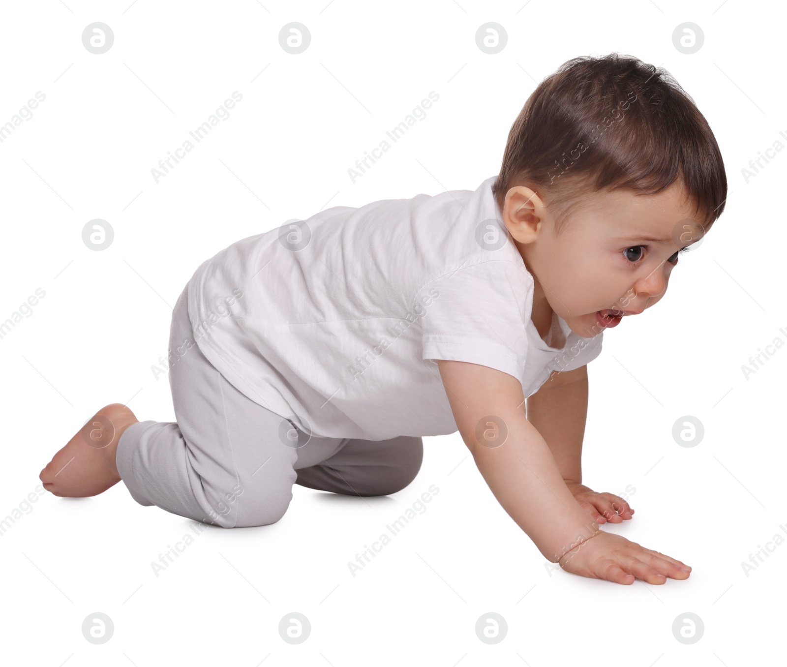 Photo of Cute little baby crawling on white background