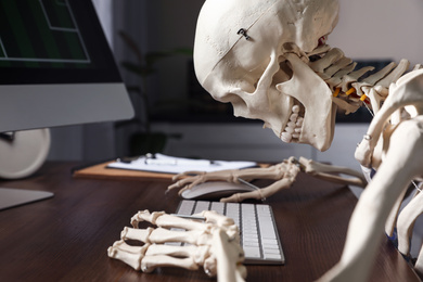 Human skeleton at table in office, closeup