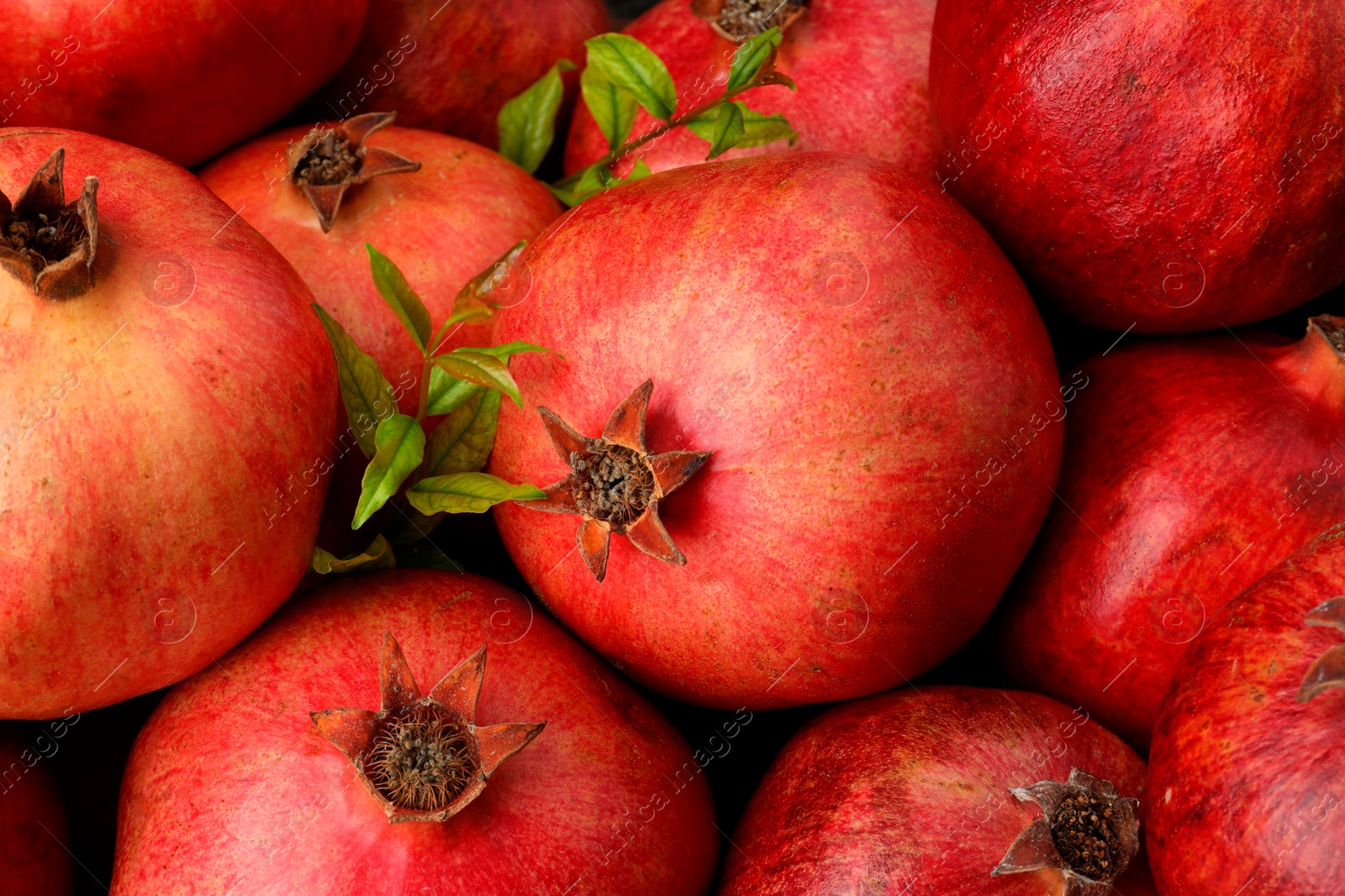 Photo of Many fresh ripe pomegranates as background, closeup