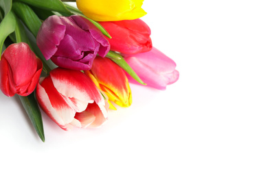 Photo of Beautiful bright spring tulips on white background, closeup