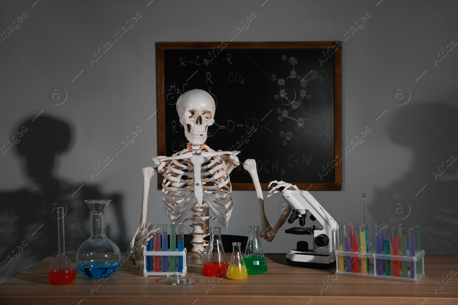 Photo of Skeleton and different chemistry glassware in classroom