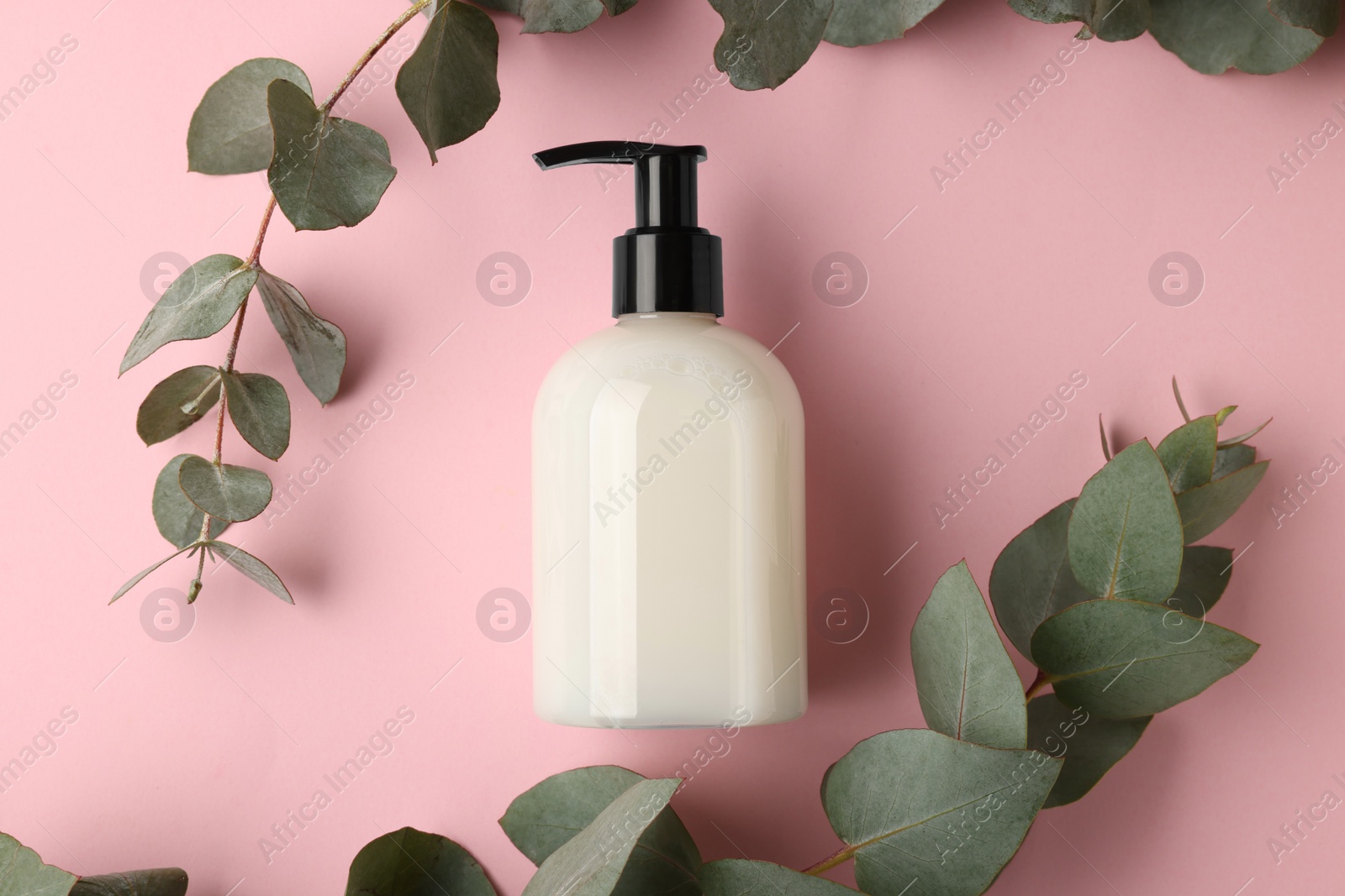 Photo of Bottle of liquid soap and eucalyptus branches on pink background, flat lay