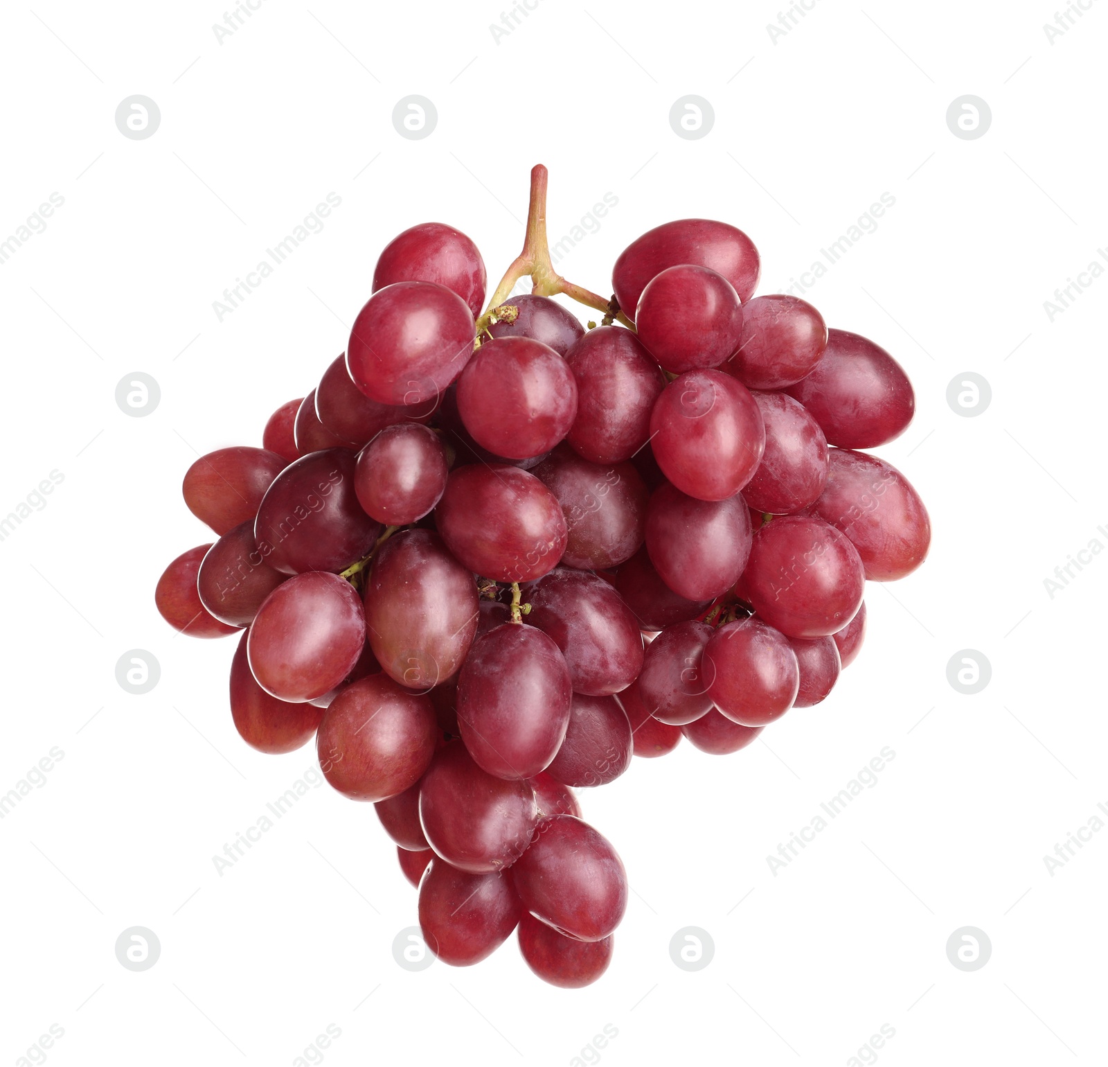 Photo of Bunch of red fresh ripe juicy grapes isolated on white