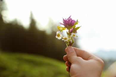Photo of Woman holding bouquet of beautiful meadow flowers against blurred background