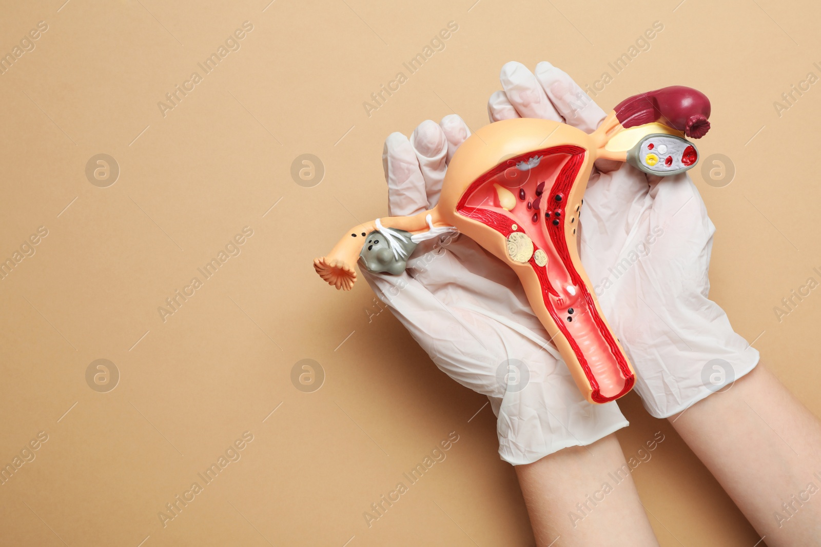 Photo of Woman holding model of female reproductive system on light brown background, top view. Space for text