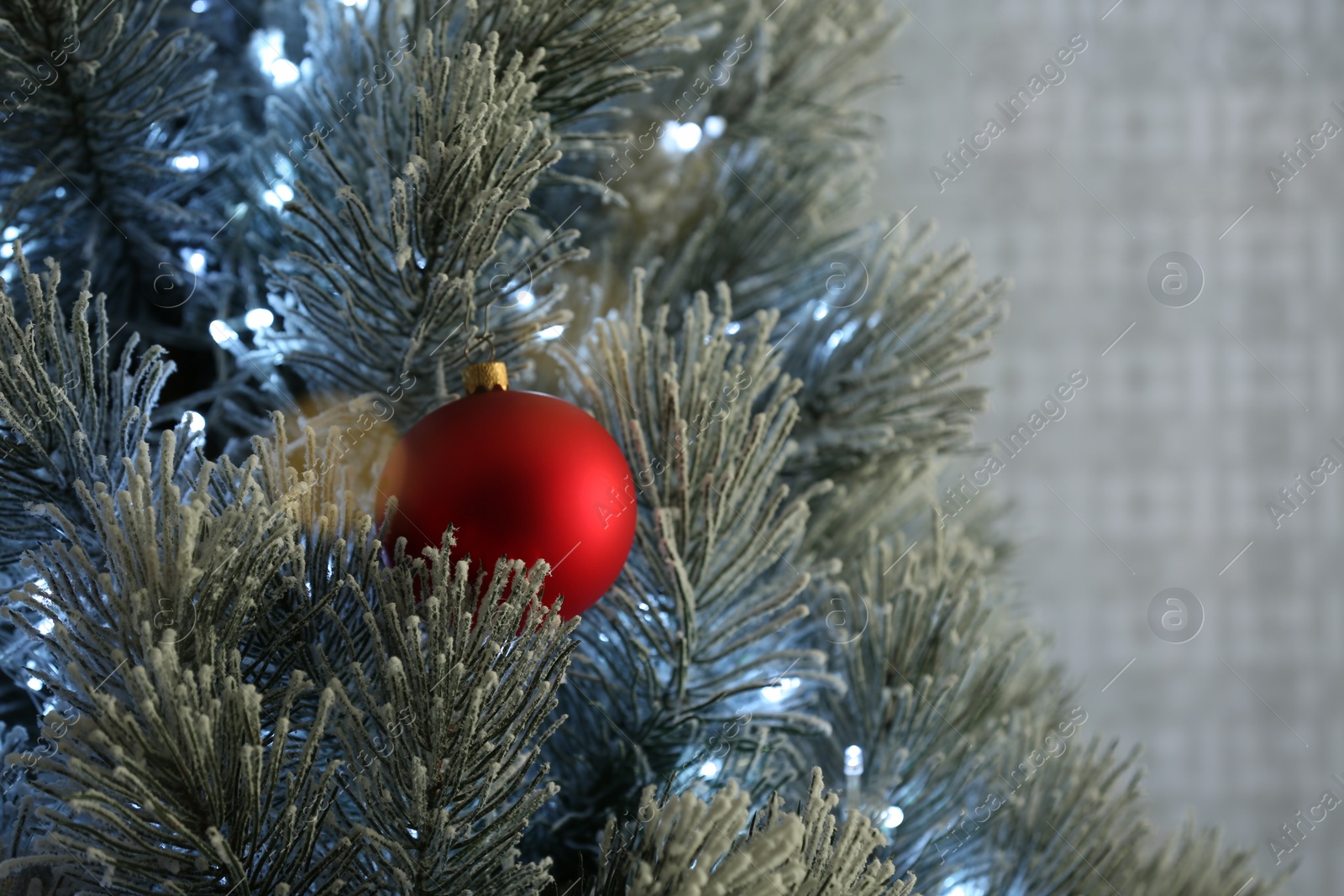 Photo of Beautiful Christmas tree decorated with festive lights and red ball, closeup