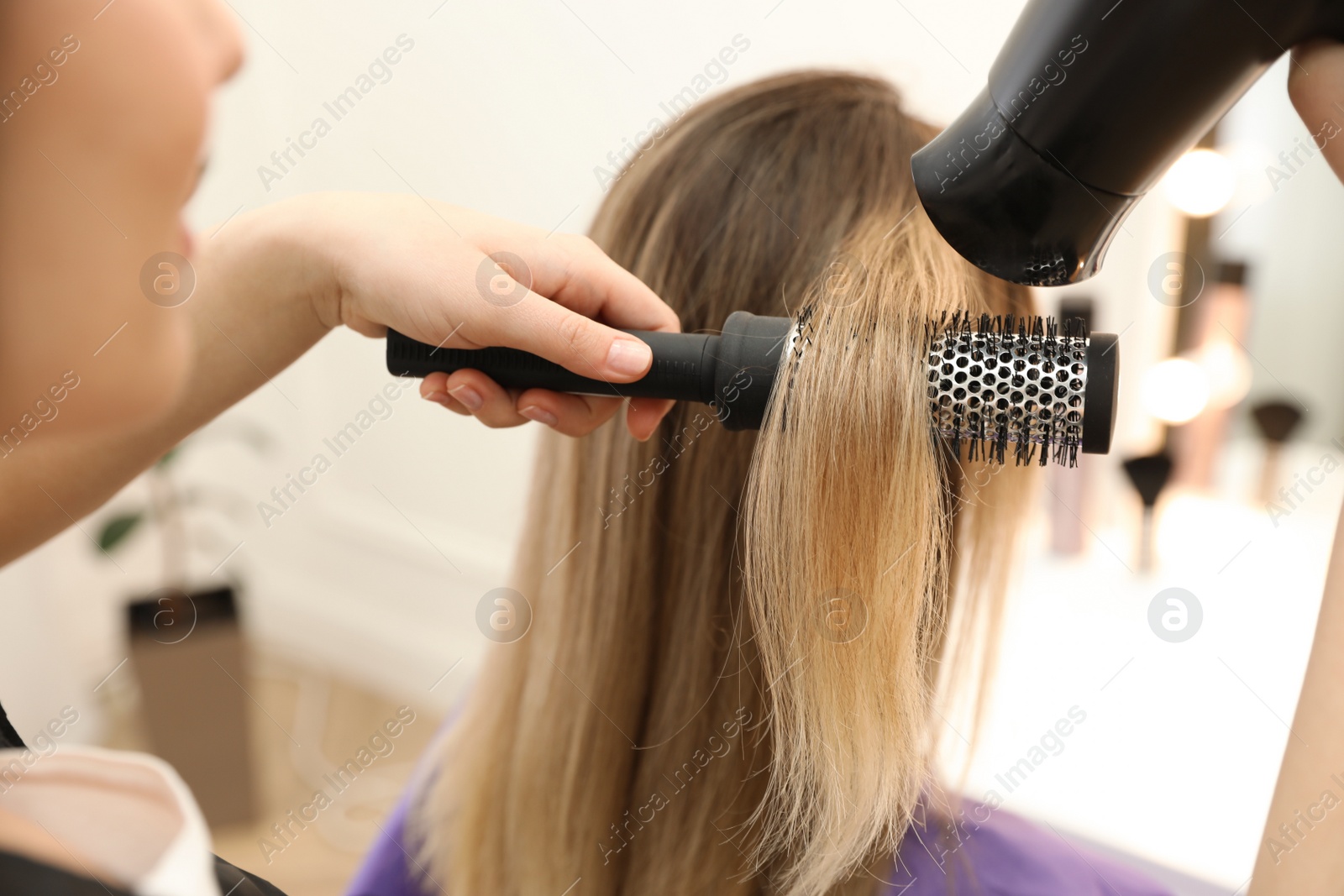 Photo of Stylist drying client's hair in beauty salon, closeup
