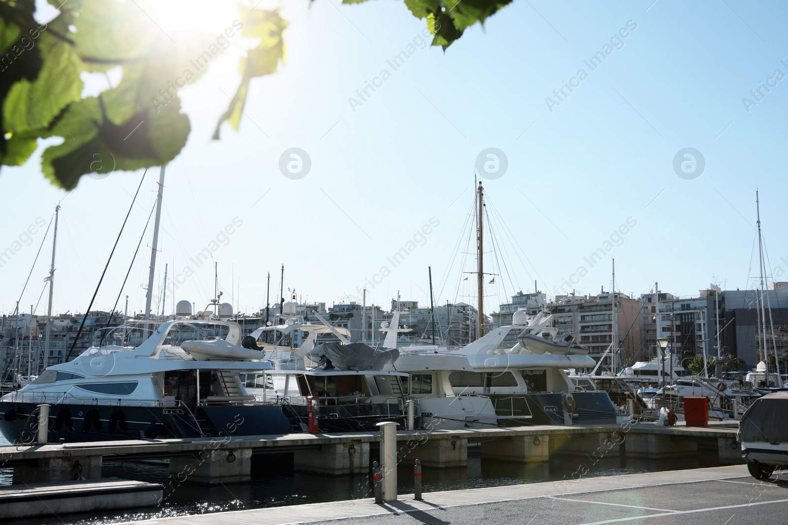 Photo of Picturesque view of port with modern boats on sunny day