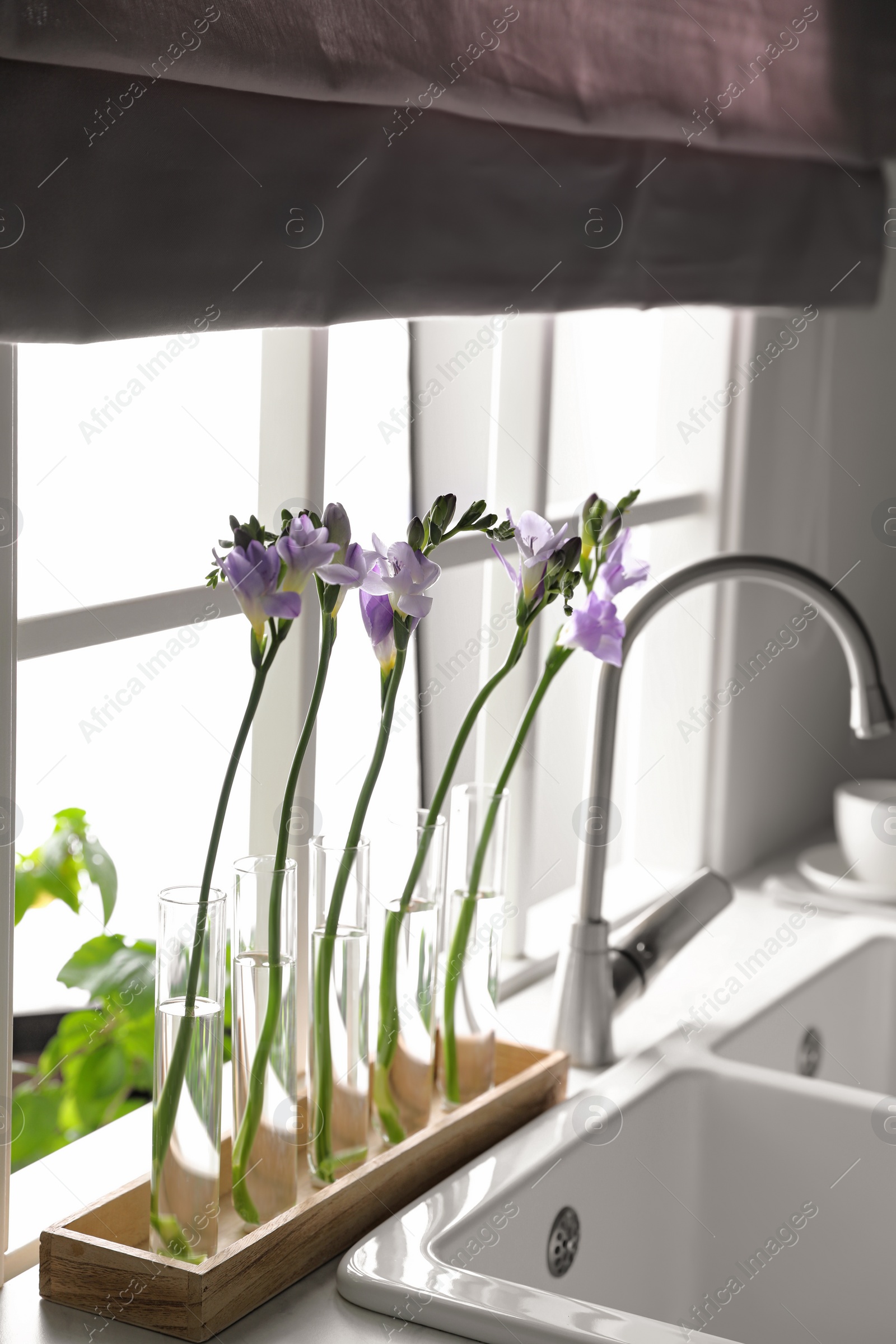 Photo of Beautiful freesia flowers near window in kitchen