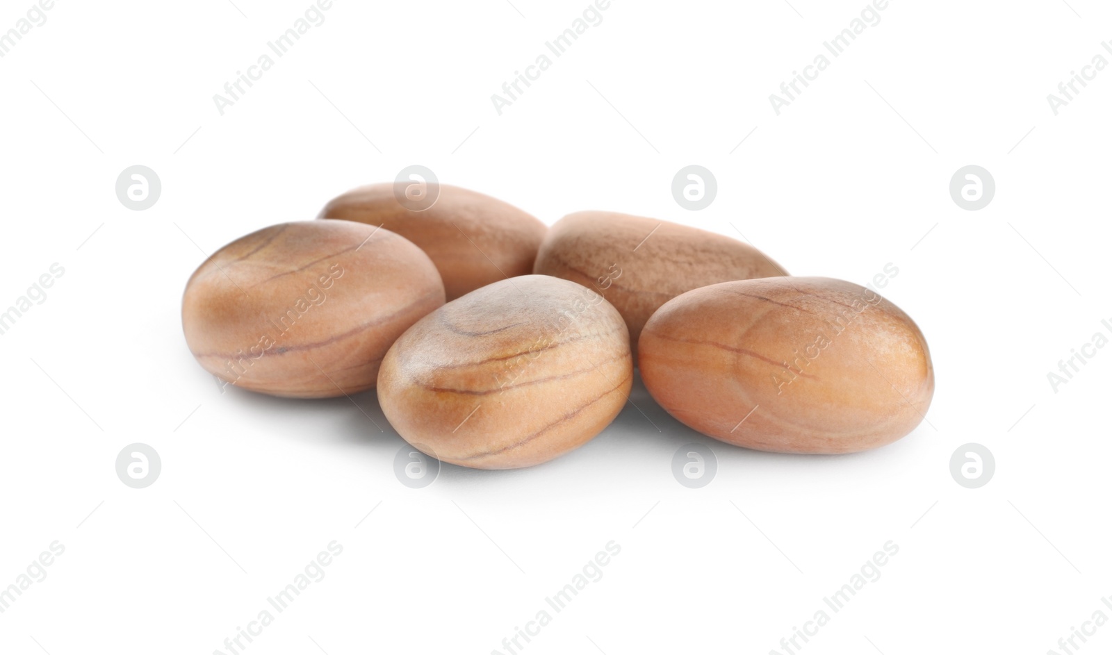 Photo of Fresh raw jackfruit seeds on white background