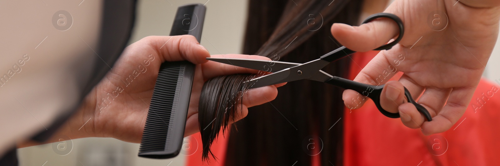 Image of Stylist cutting hair of client in professional salon, closeup. Banner design