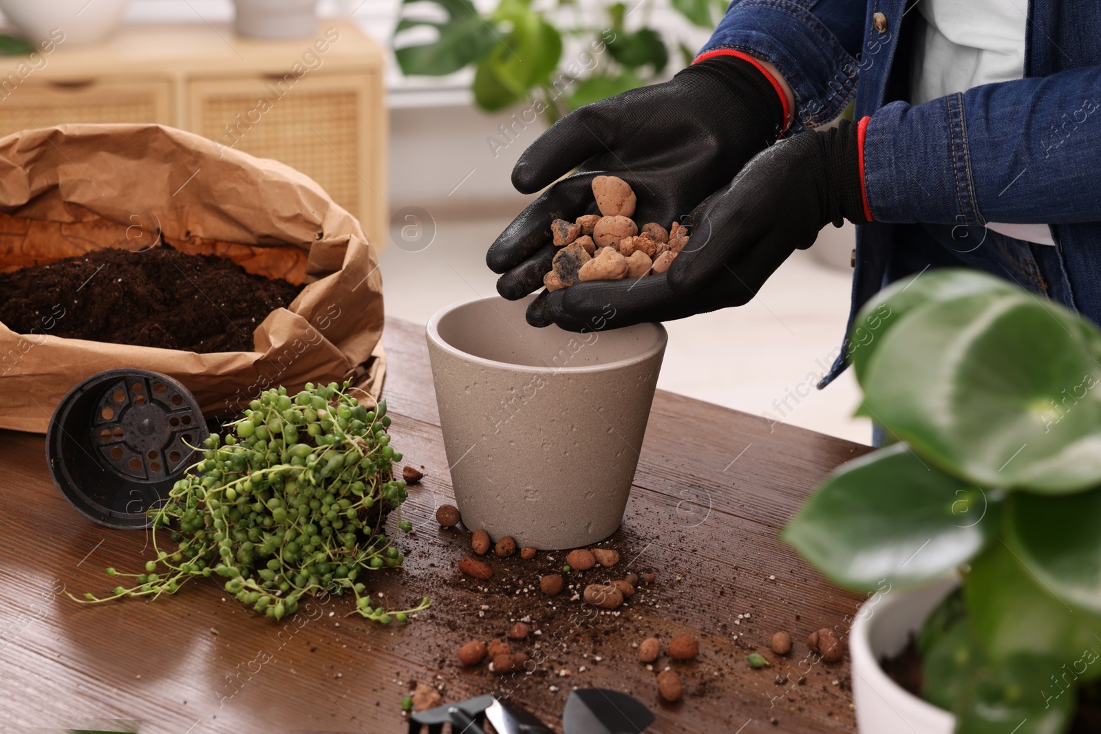 Photo of Woman in gloves filling flowerpot with drainage at wooden table indoors, closeup. Transplanting houseplants