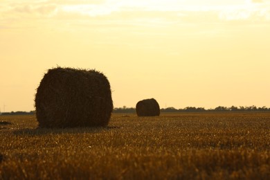 Photo of Beautiful view of agricultural field with hay bales