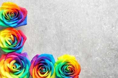 Photo of Rainbow rose flowers on gray background, top view