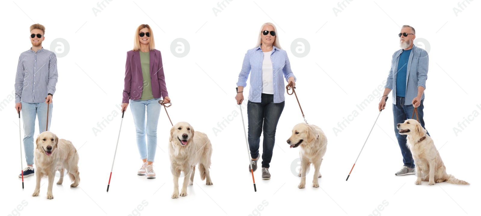 Image of Blind people with long canes and guide dogs on white background. Banner design